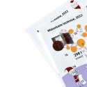Сhocolate Advent calendar 75 g